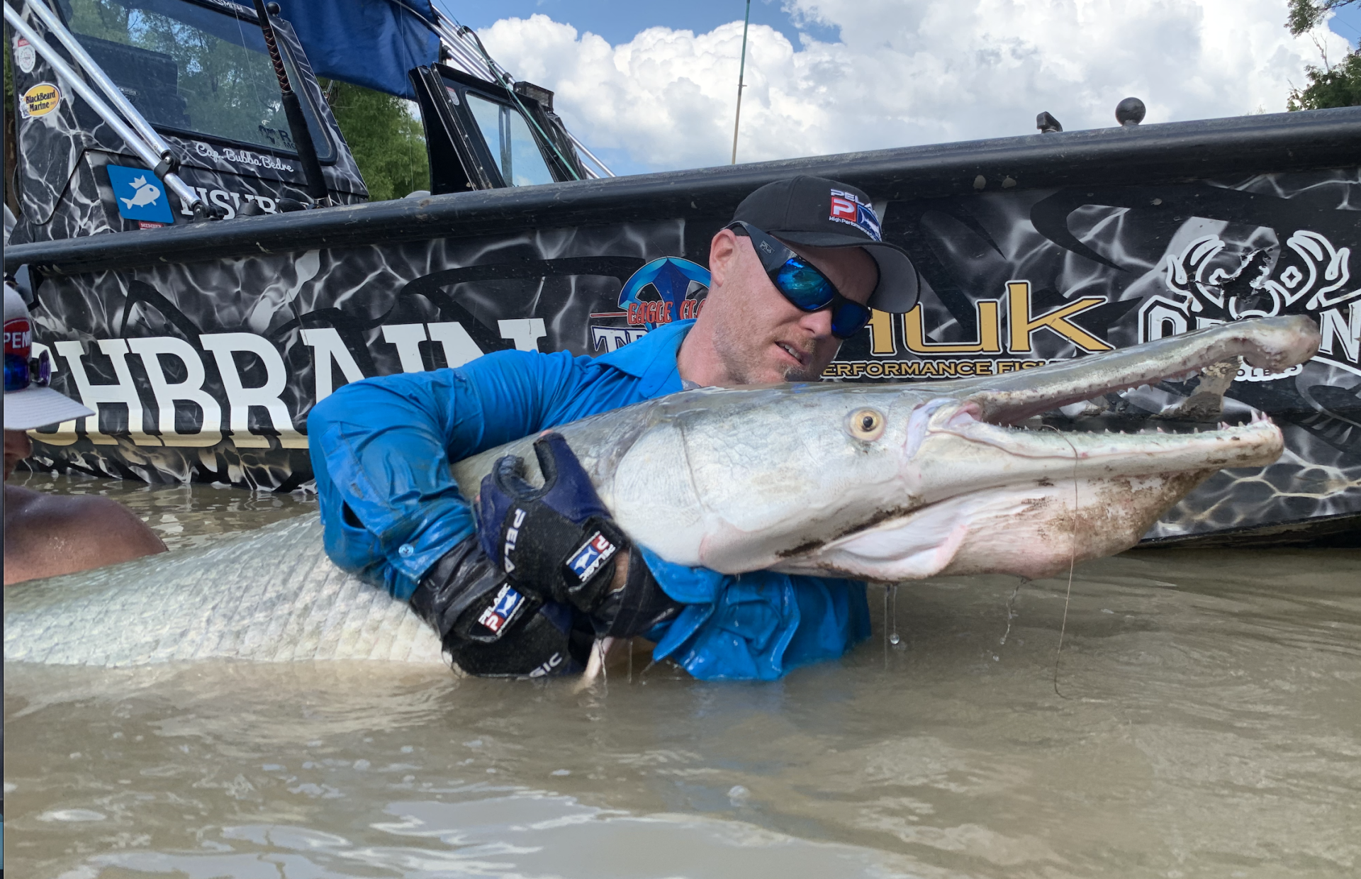 Man holding a large alligator gar in shallow water; blue shirt, sunglasses, outdoor setting.