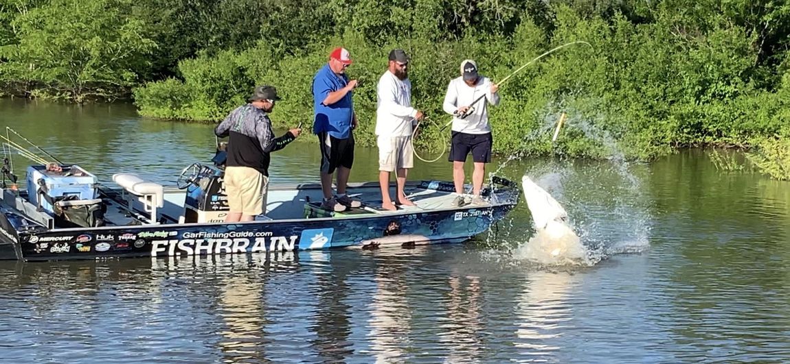 alligator gar jumping out the water in Texas