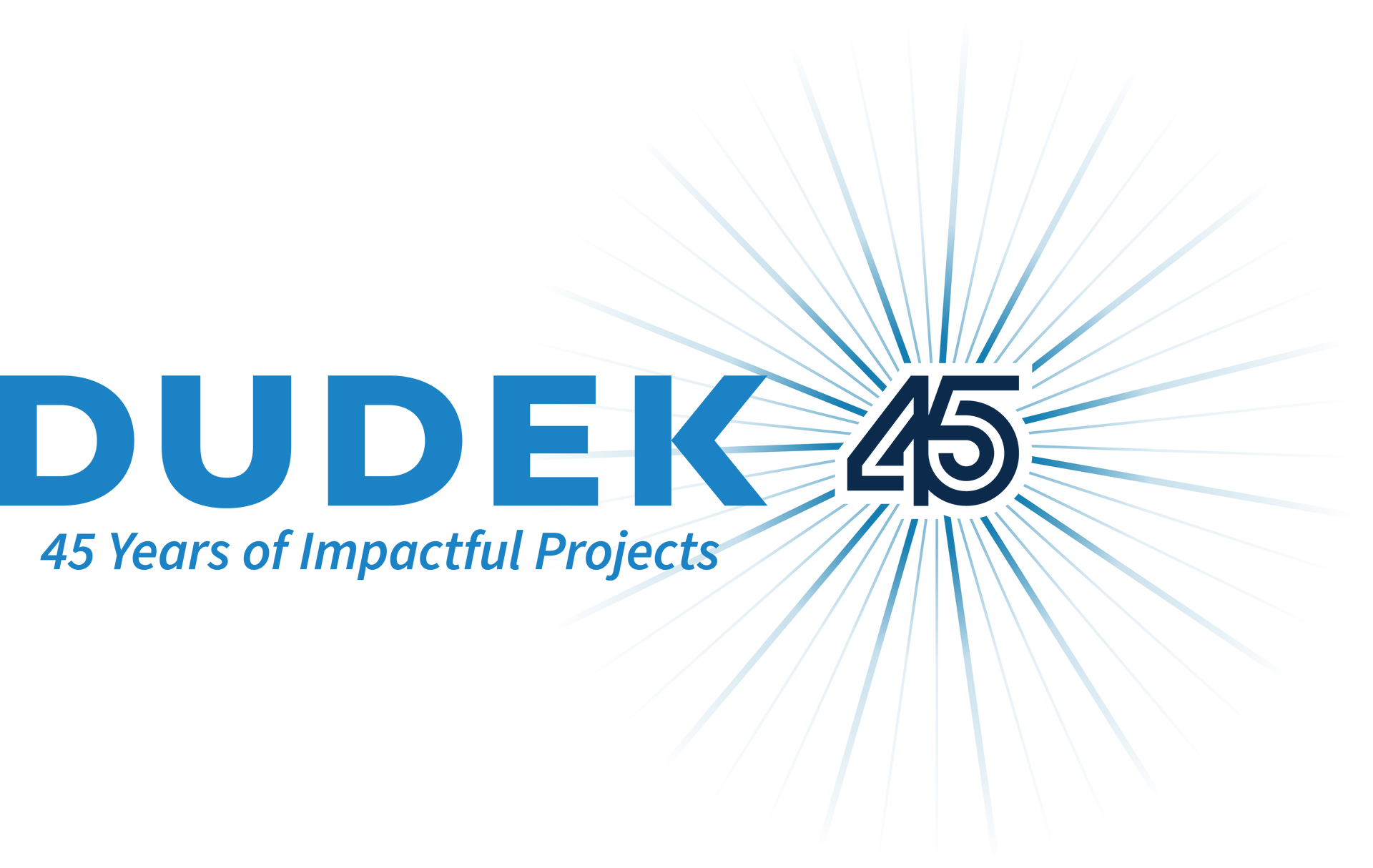 DUDIK logo with