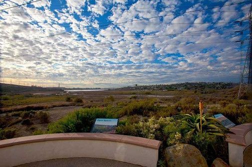 Overlook of a wetlands landscape under a blue sky dotted with puffy clouds. Vegetation and informational signs in foreground.