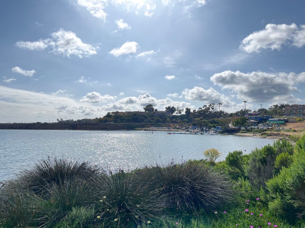 Bright sunny day over a calm bay. Water sparkles, green shrubbery in the foreground, and clouds in a blue sky.