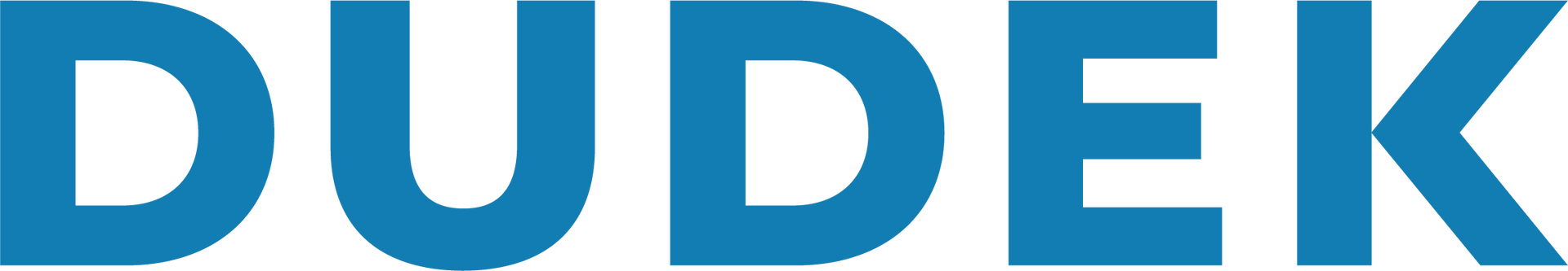 Blue “DUDEK” wordmark logo on a white background
