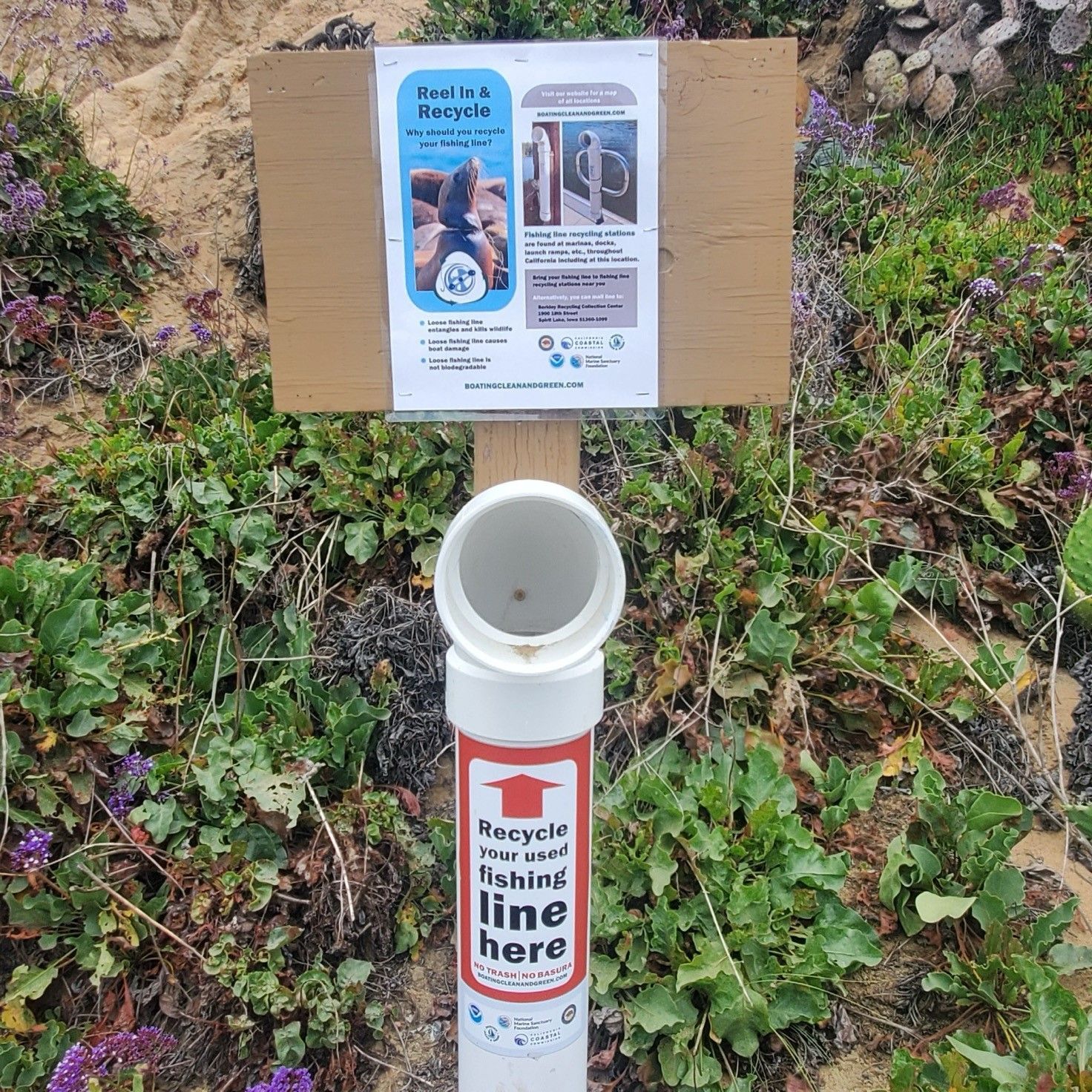 Recycle bin for fishing line on a wooden post. Sign above bin says “Recycle Your Line Here.” Bin surrounded by plants.