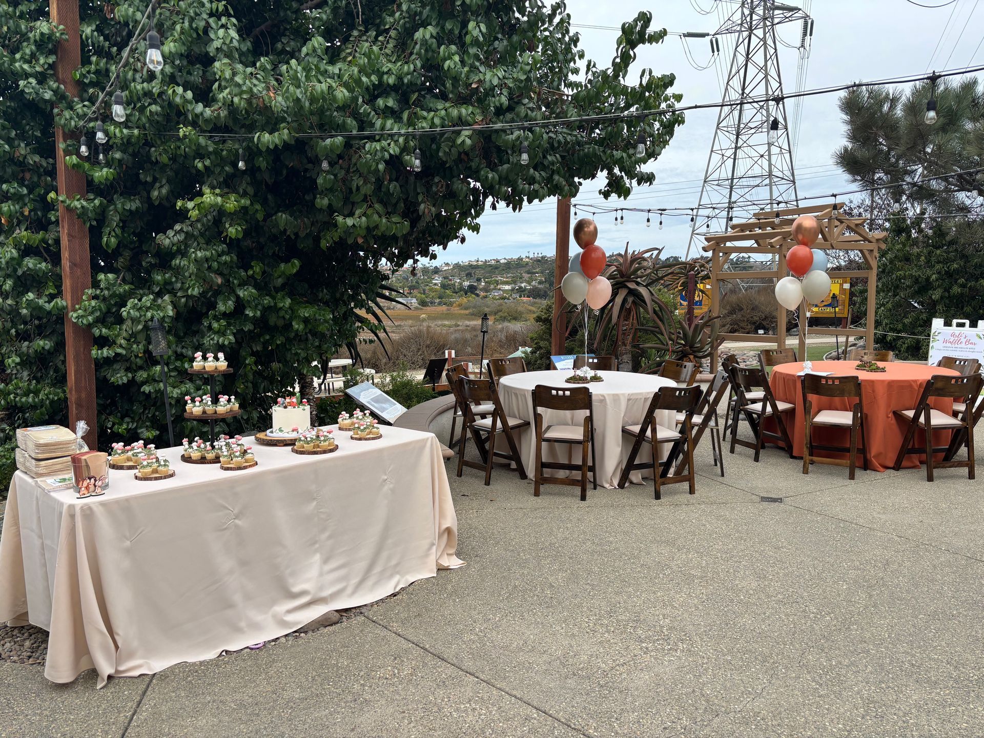 Outdoor party scene with tables, chairs, and decorations in front of trees and a power line.