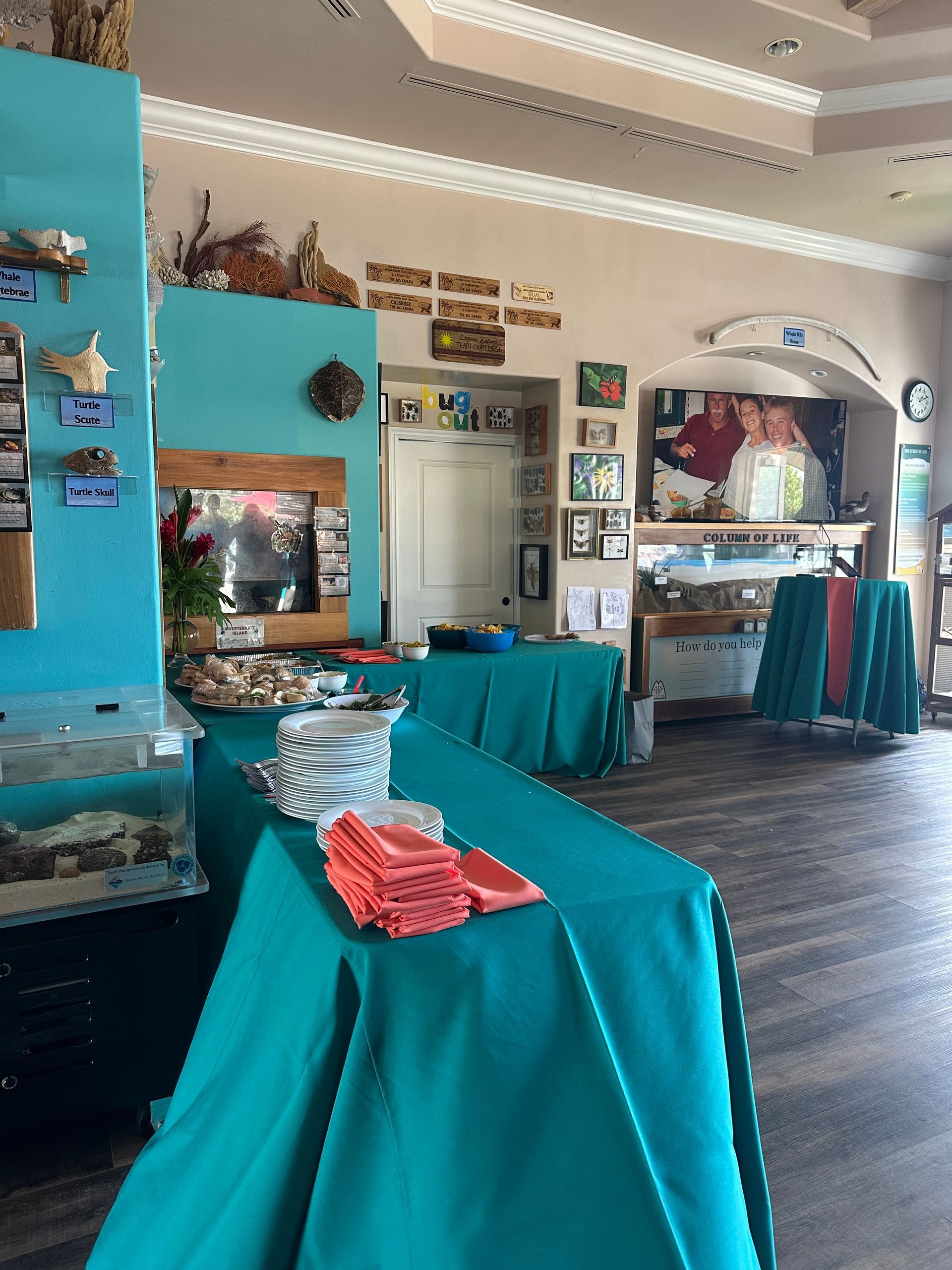 Interior of a room with buffet tables covered in teal tablecloths. The walls are painted turquoise and white.