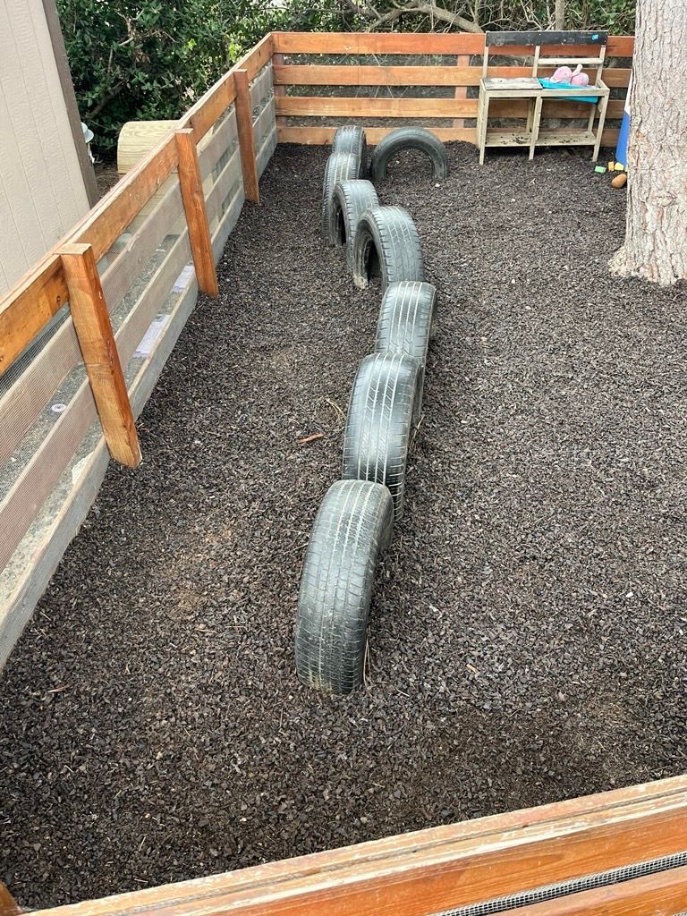 A row of tires set into wood chip ground in a fenced yard, serving as an obstacle course.