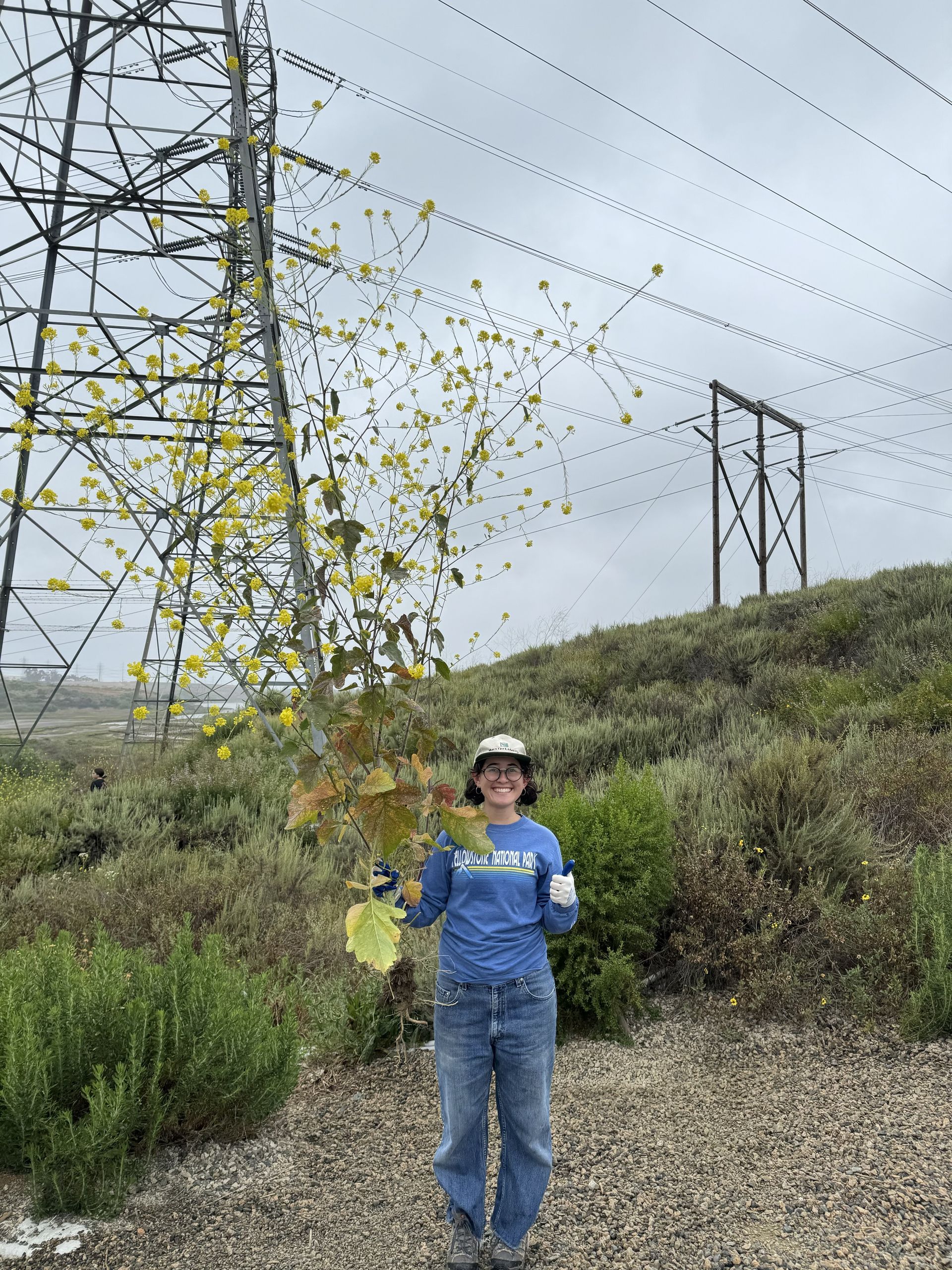 Woman in blue shirt holds plant near flowering tree and power lines. Overcast sky.