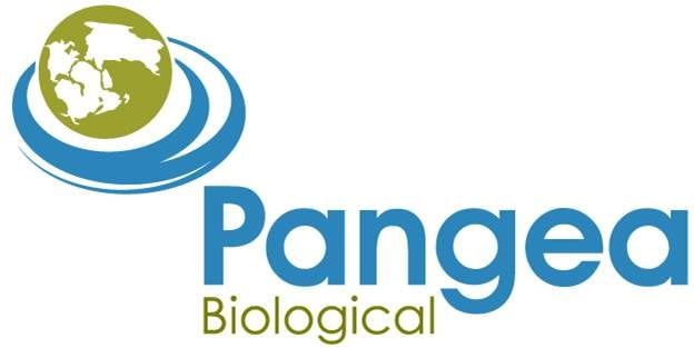 Logo: Green and blue globe with text