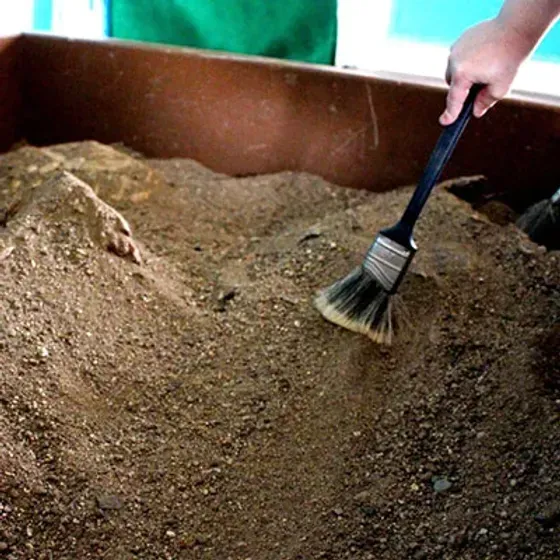 Person brushing sandy soil in a brown container.