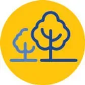 Two stylized trees, dark blue on yellow circle.