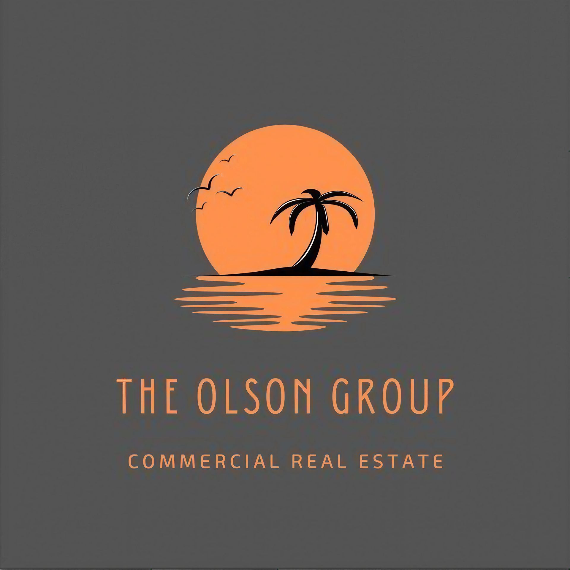 Orange sun and palm tree logo above “The Olson Group” and “Commercial Real Estate” on gray background