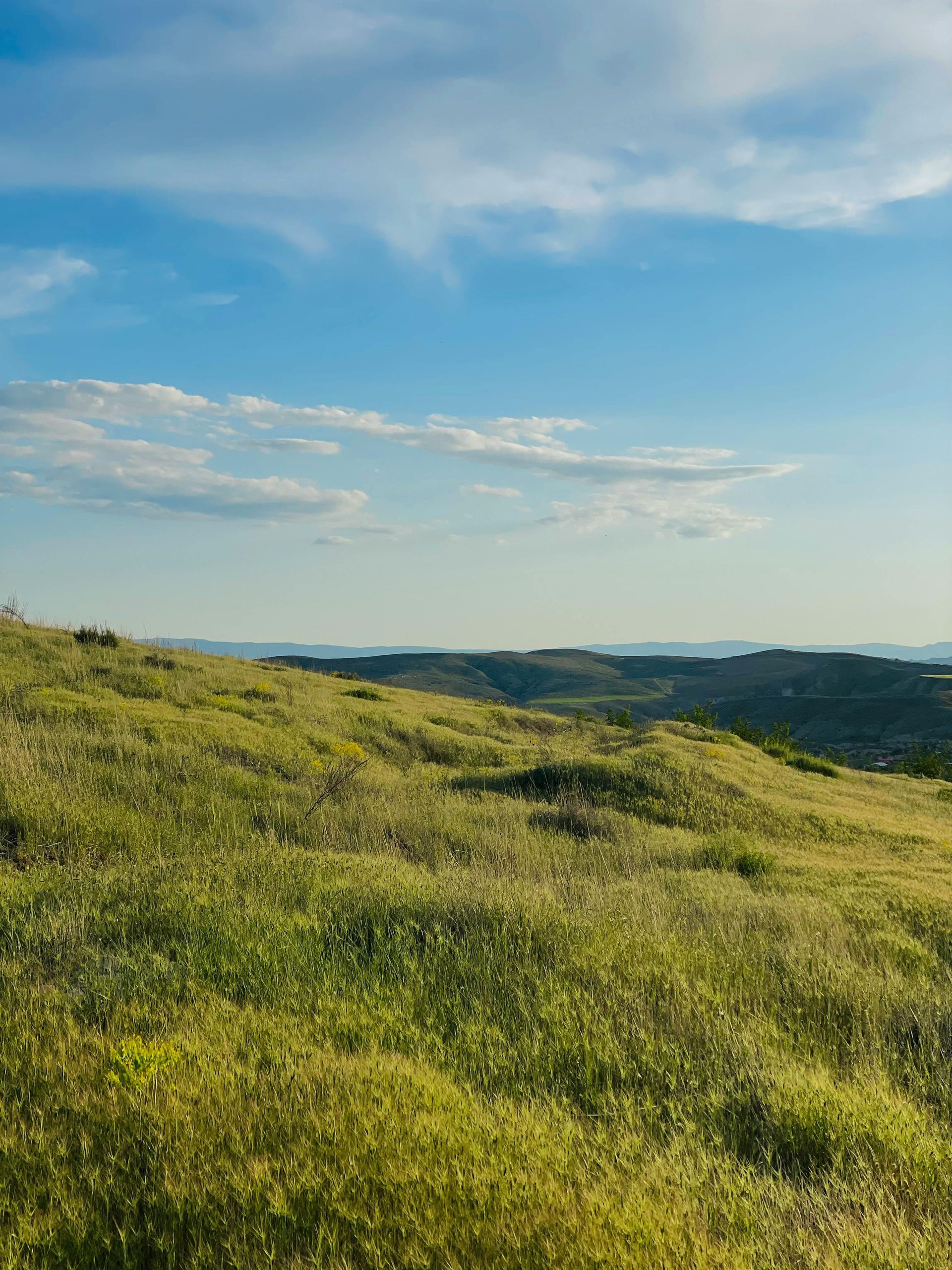 Rolling green hillside under a blue sky with scattered clouds.