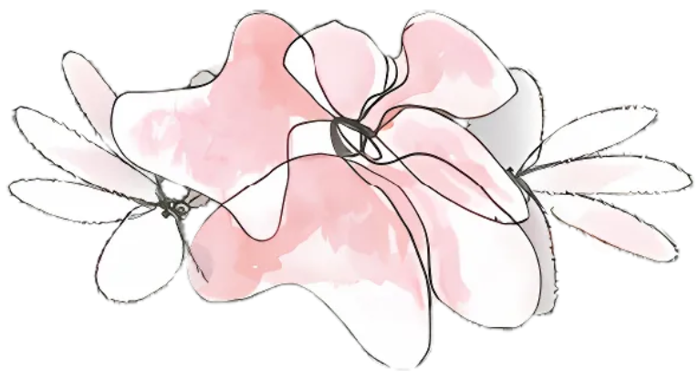 A drawing of two pink flowers on a white background.