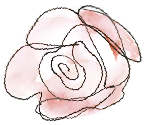 A black and white drawing of a pink flower on a white background.