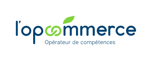 Formations VTC, TAXI, Capacité de transport, Formations Caces à Strasbourg. CPF, France Travail, Opco