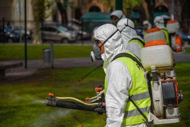 FUMIGADORA DEL NORTE PN - Fumigación de insectos rastreros, voladores y arácnidos