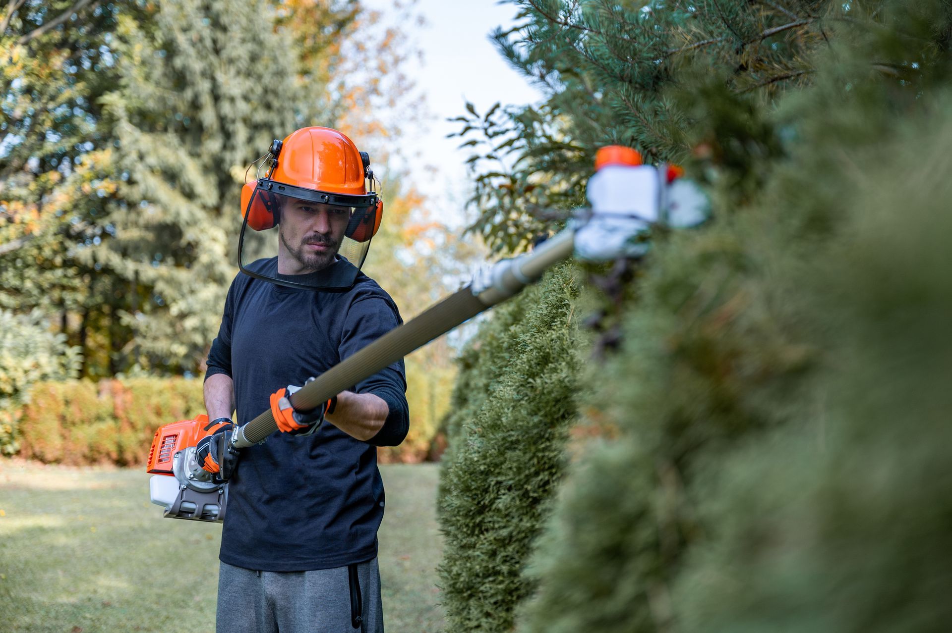 A man is cutting a hedge with a dark oragne hedge trimmer.