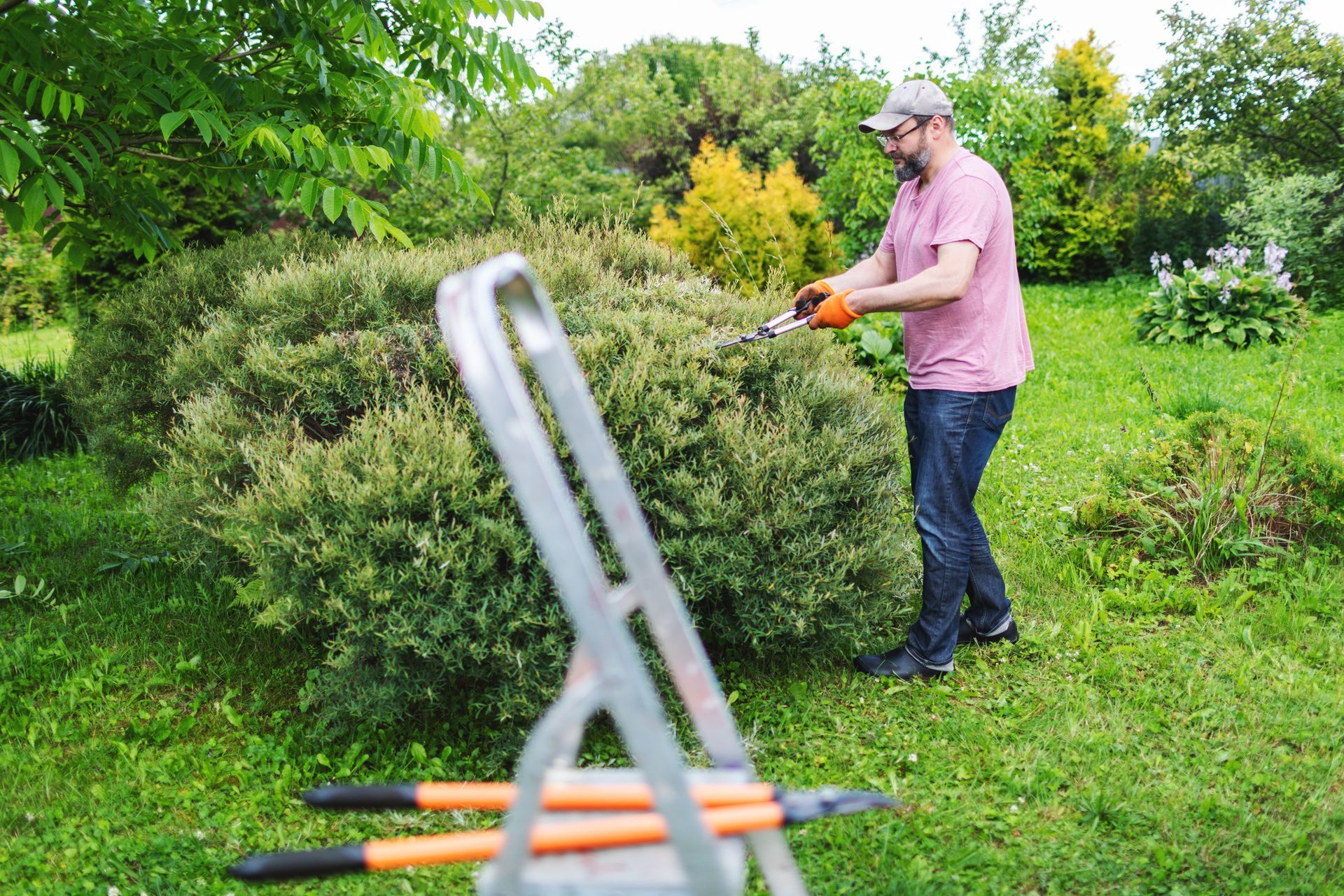 A man is cutting a bush with a pair of scissors in a garden.