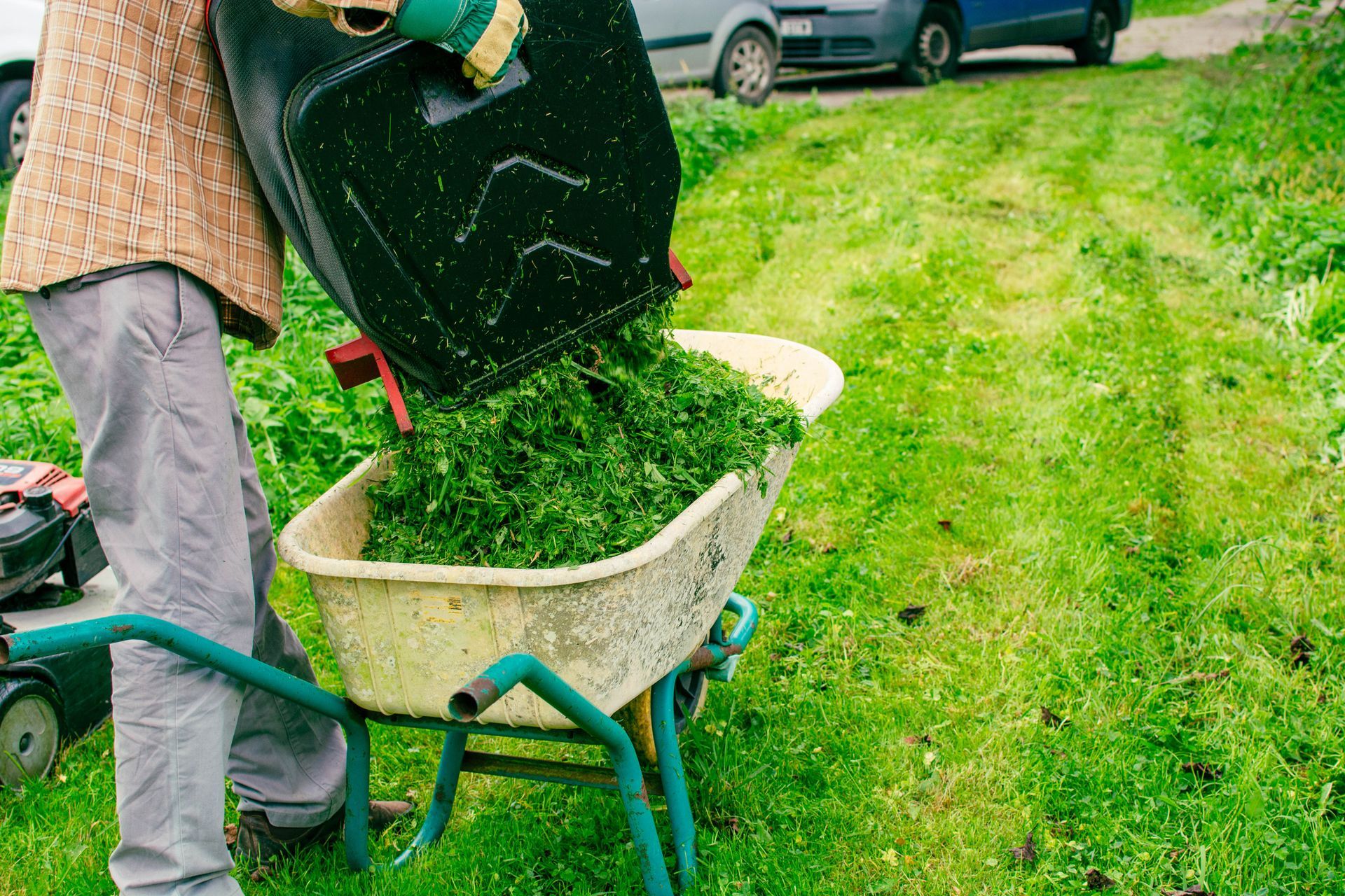A person is pushing a wheelbarrow full of grass.
