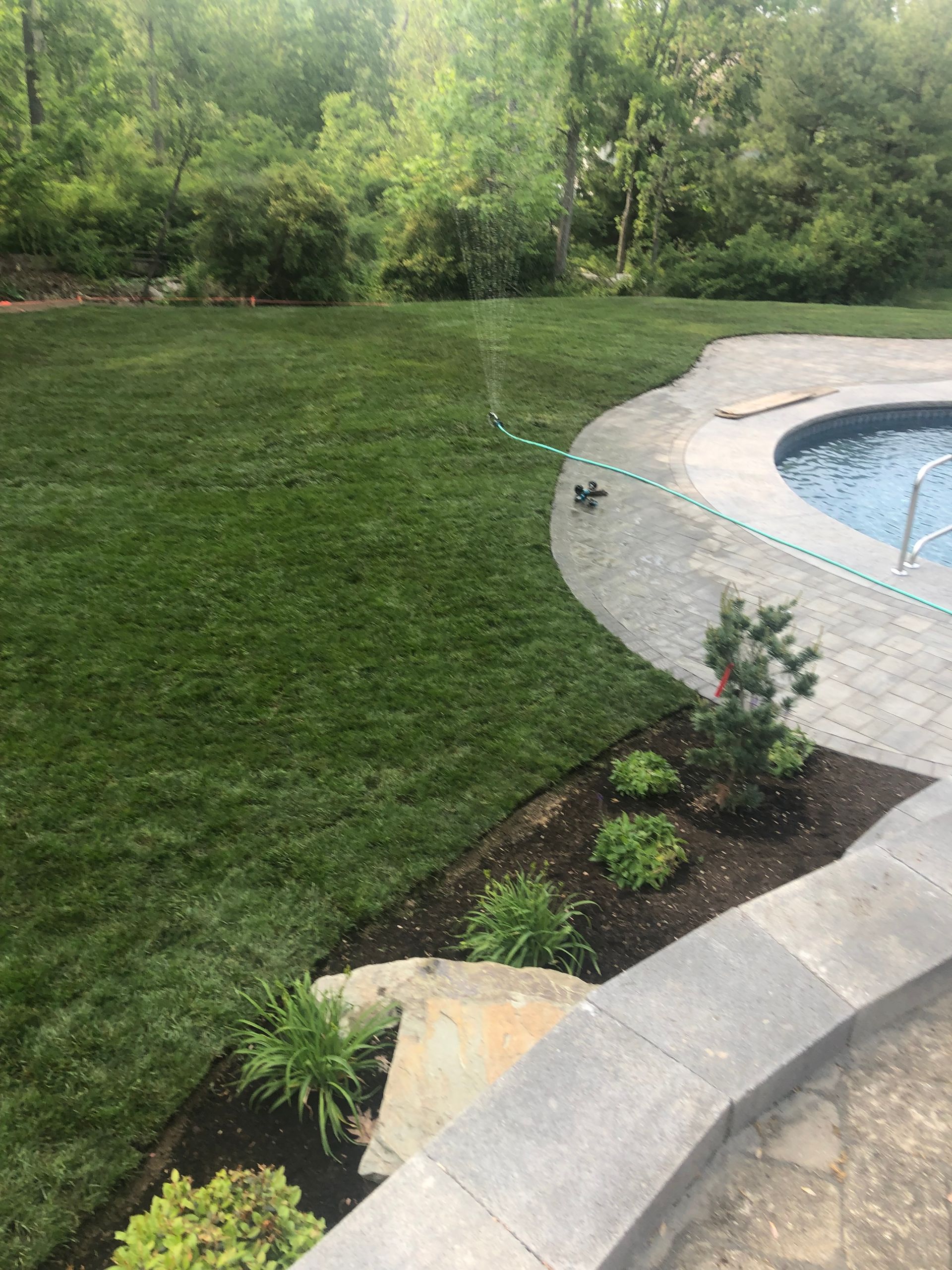 Lush green lawn with a stone patio and pool; trees in the background.