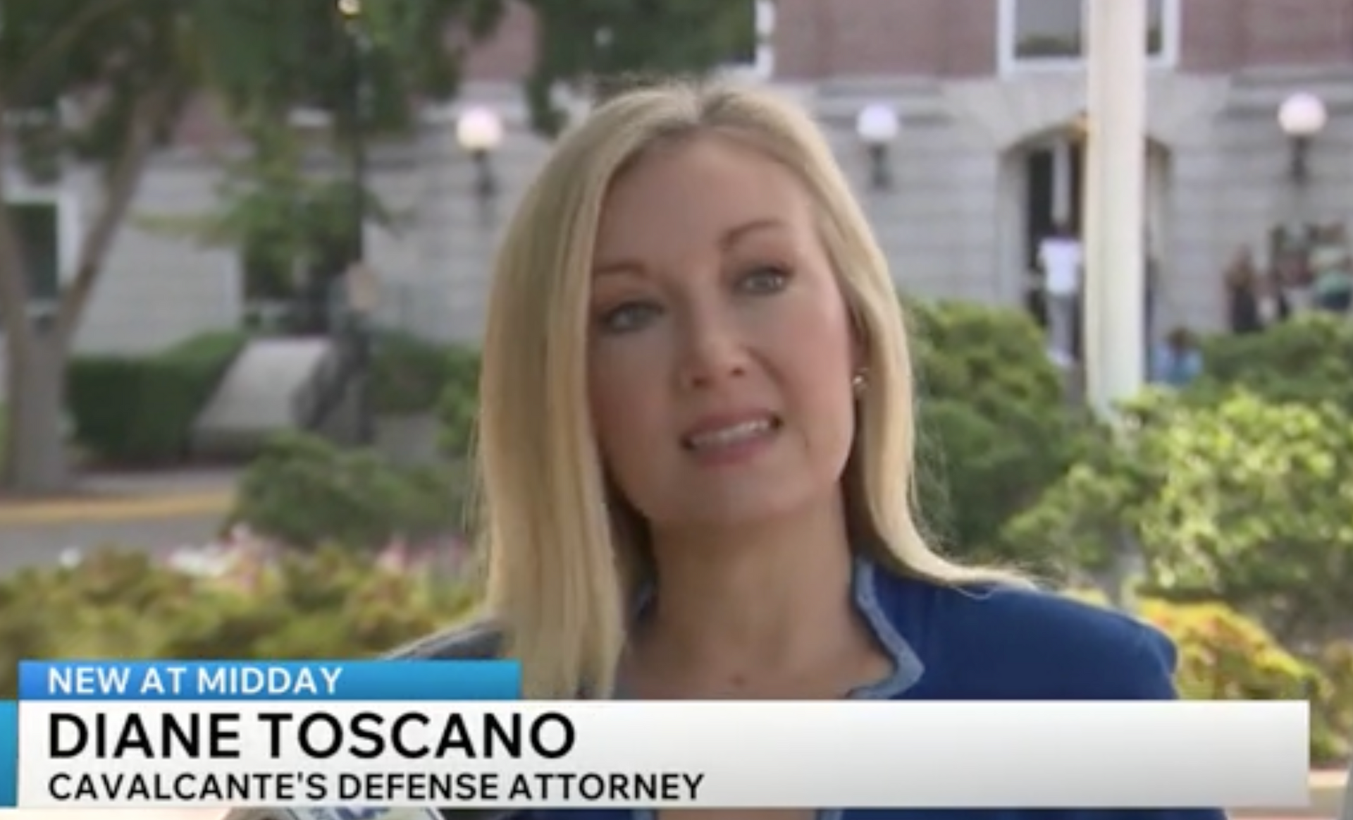 Virginia Beach criminal defense attorney Diane Toscano of Toscano Law Group