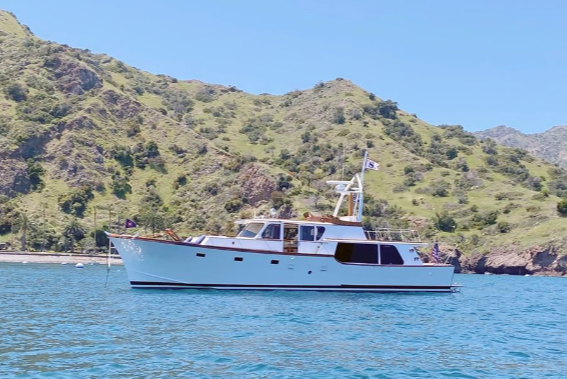 White yacht on blue water near a green hillside under a clear sky