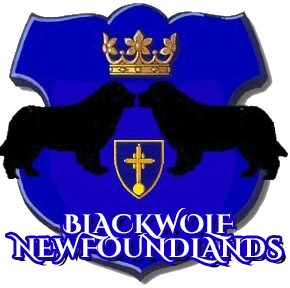 A blue shield with two horses and a cross on it