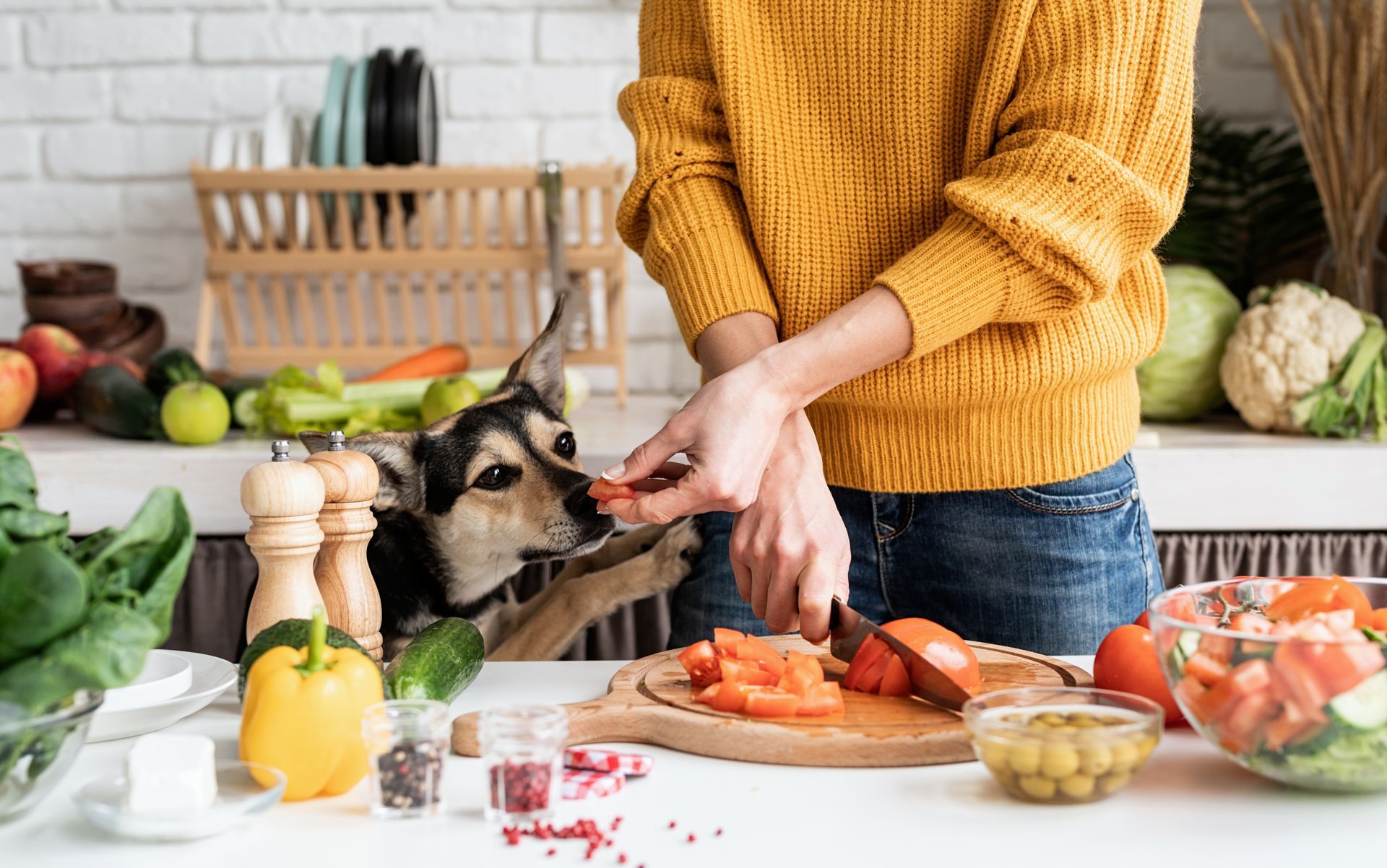 A woman is cutting vegetables in a kitchen with her dog.