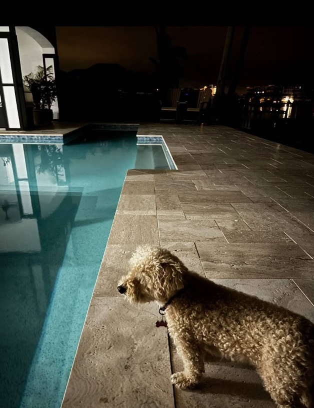 Swimming Pool Installation 3