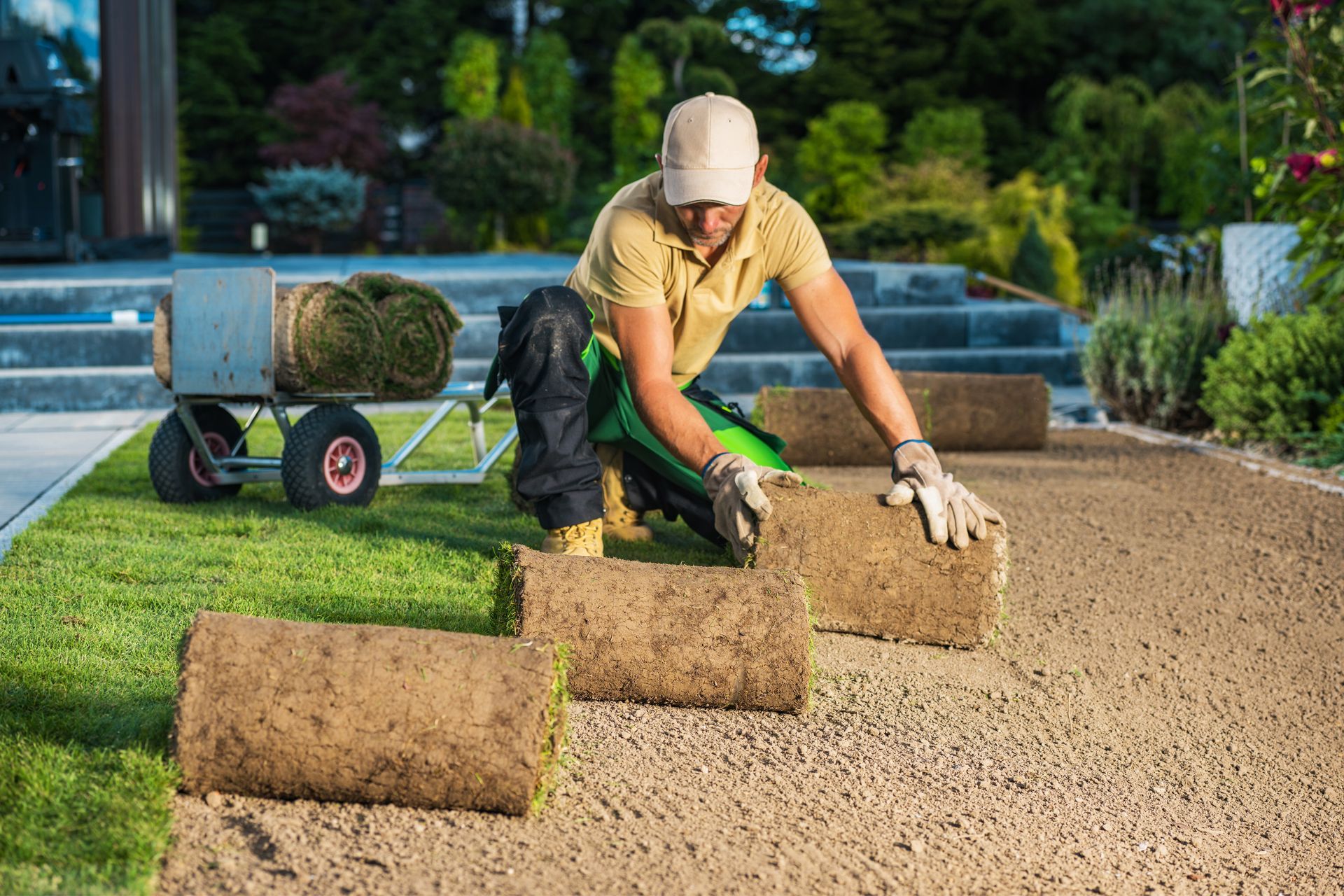 A commercial garden having a fresh, natural grass turf installation. A commercial garden having a fresh, natural grass turf installation.