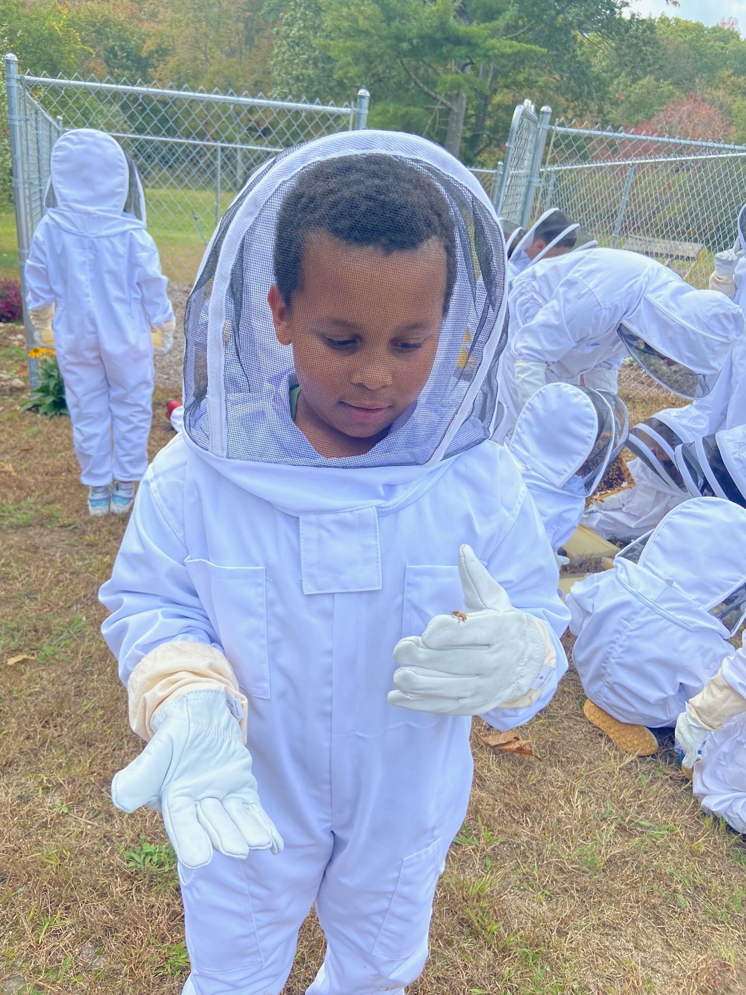 Motessori child is wearing a bee suit and gloves.