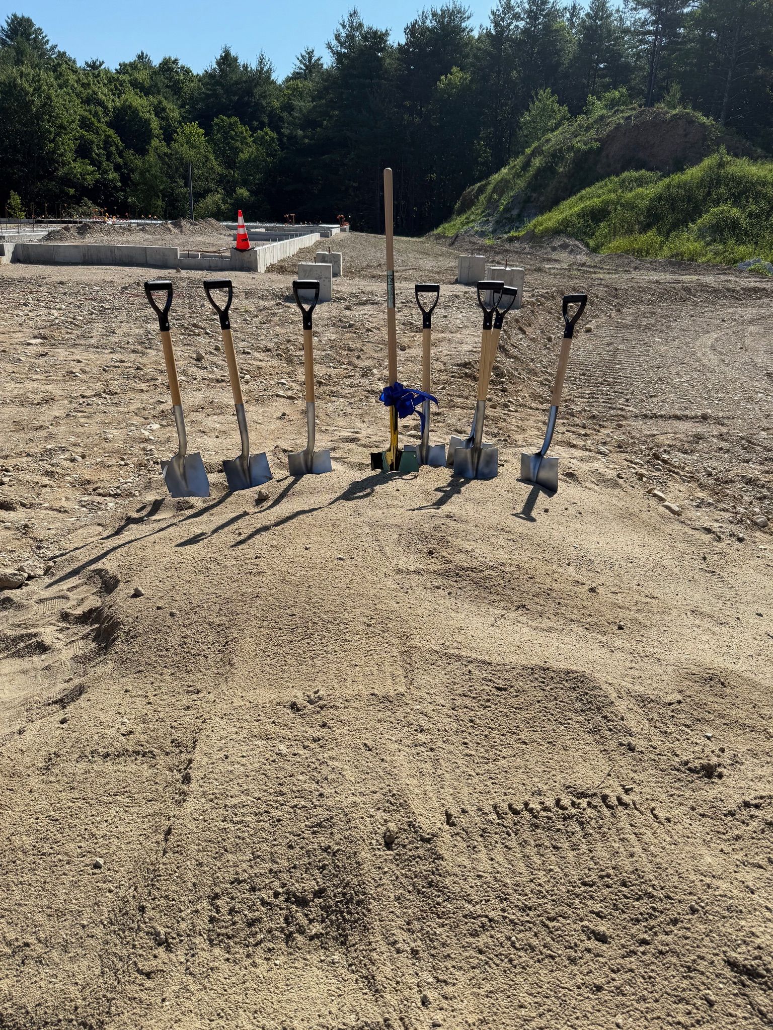 A row of shovels sitting on top of a dirt field.