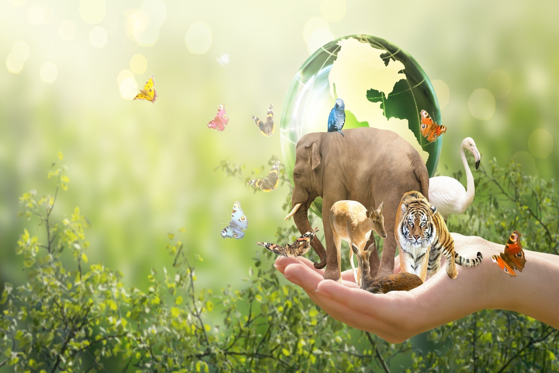 Hand holding an array of animals with a globe, butterflies, and green background.
