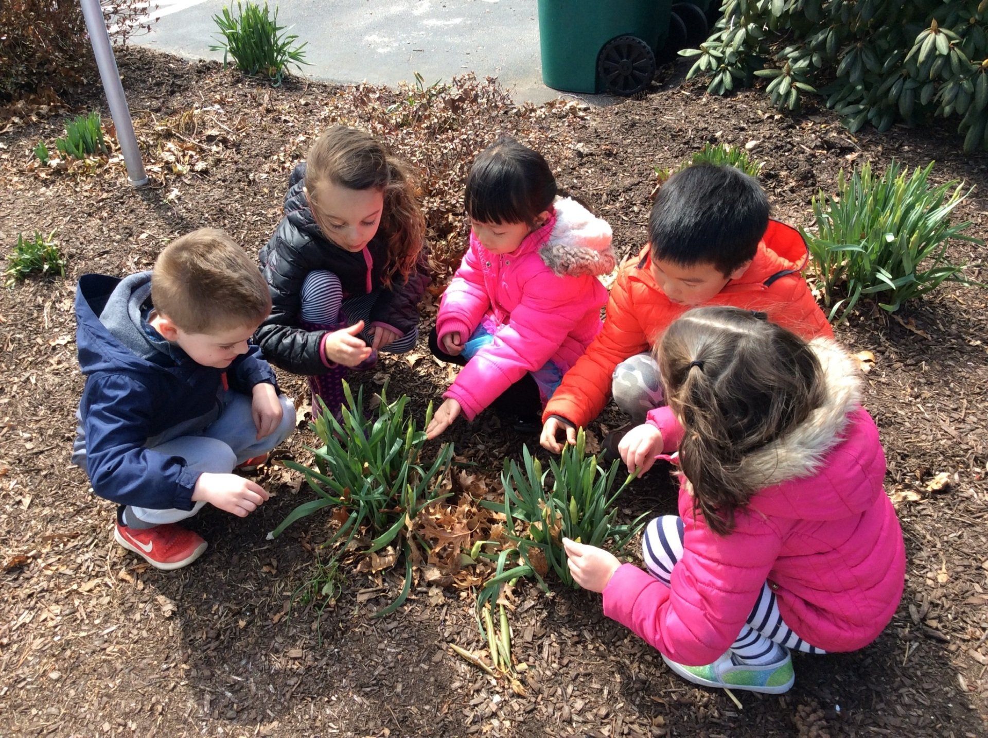 Montessori children examine plants in a garden bed. Some wear colorful jackets.