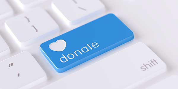 blue donate button