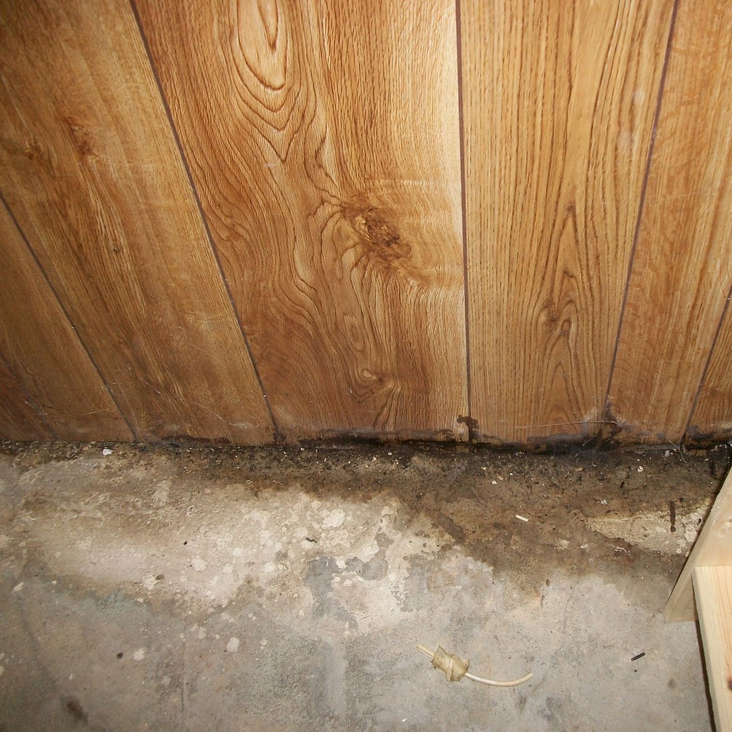 moisture damage floor