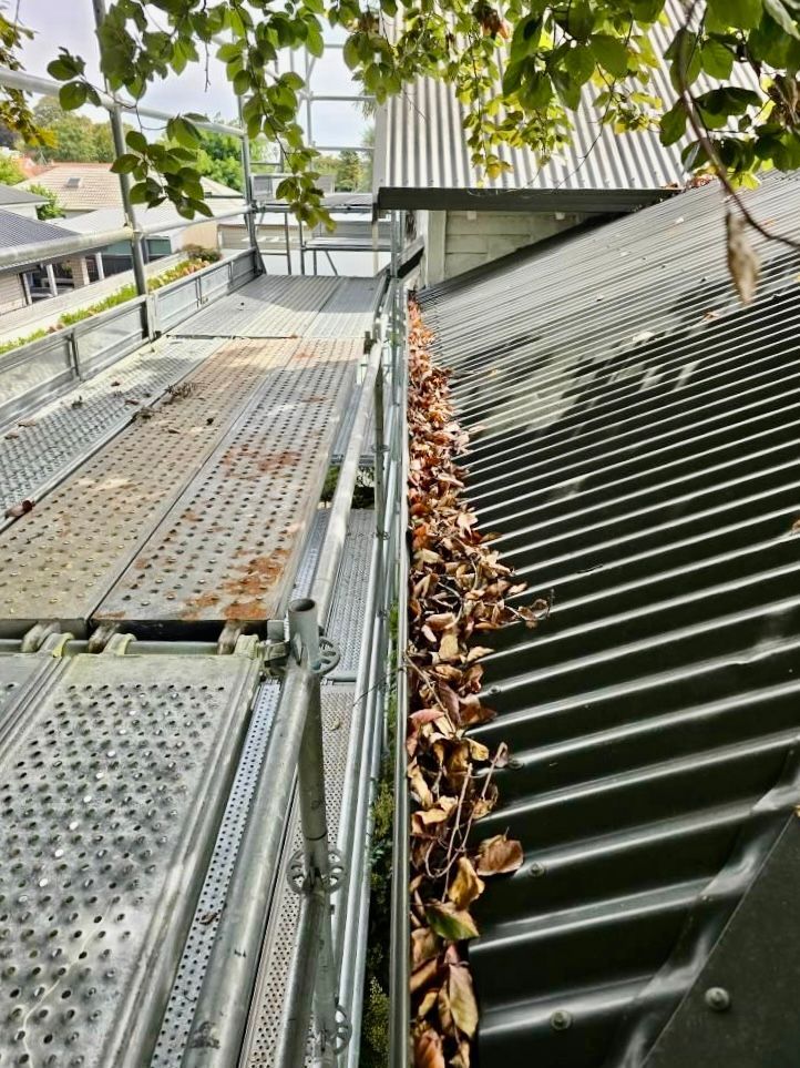 Gutter cleaning