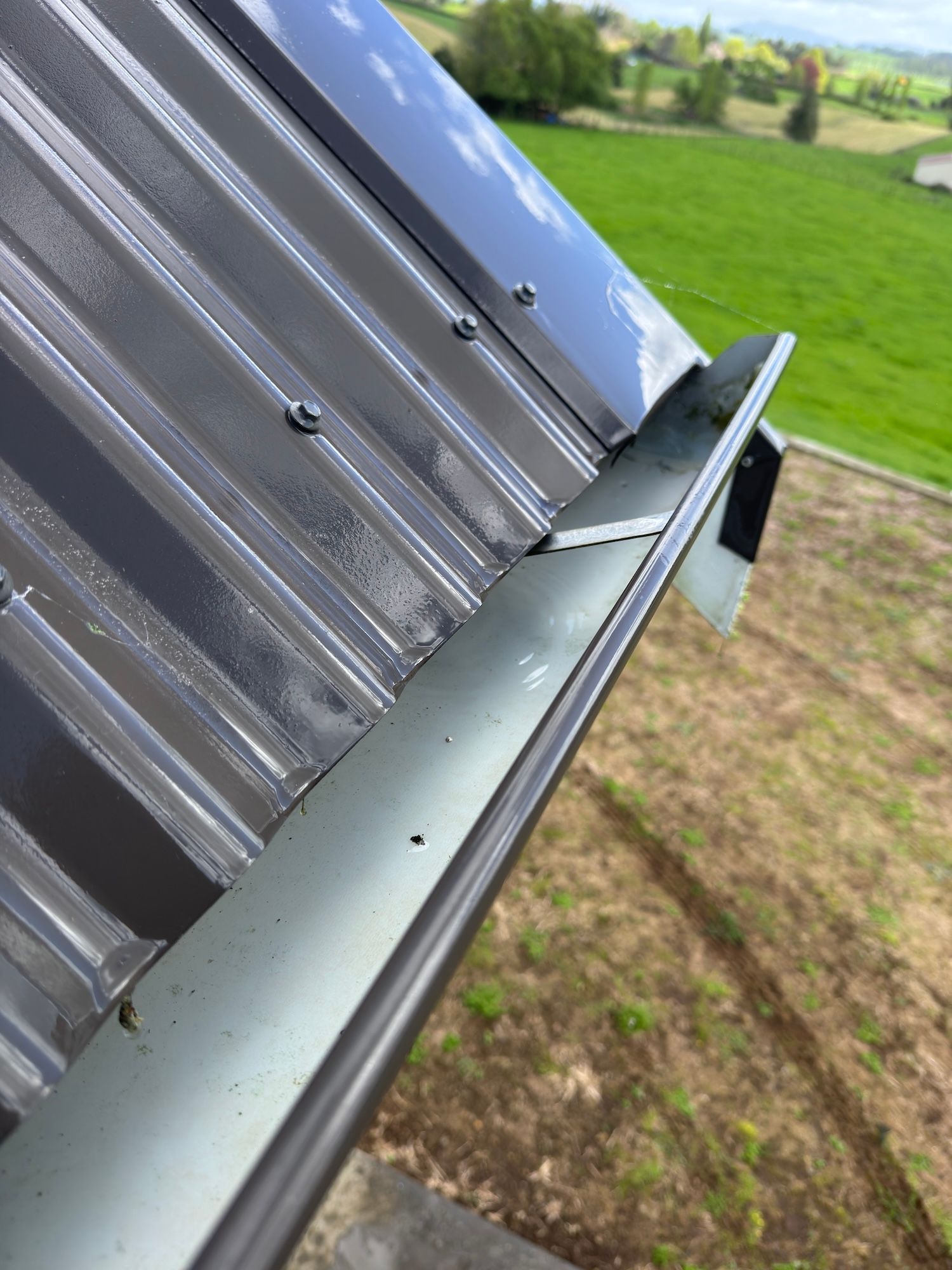 Gutter Cleaning