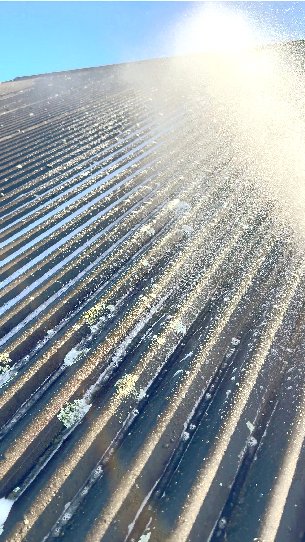Roof Treatment