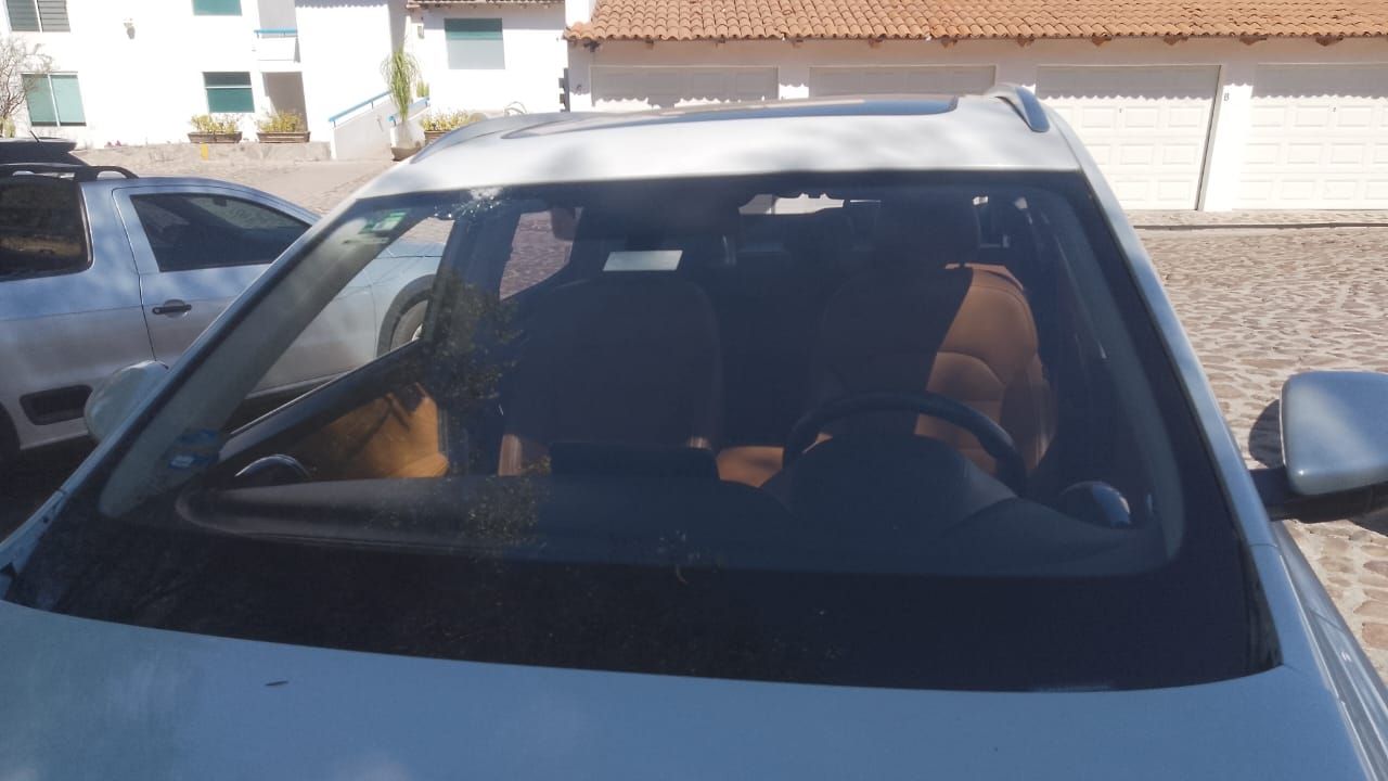 Un perro está sentado en el asiento trasero de un coche.