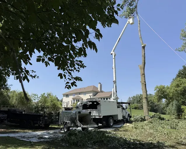 Tree removal in progress: bucket truck trimming tree, wood chipper, debris on ground, large house in background.