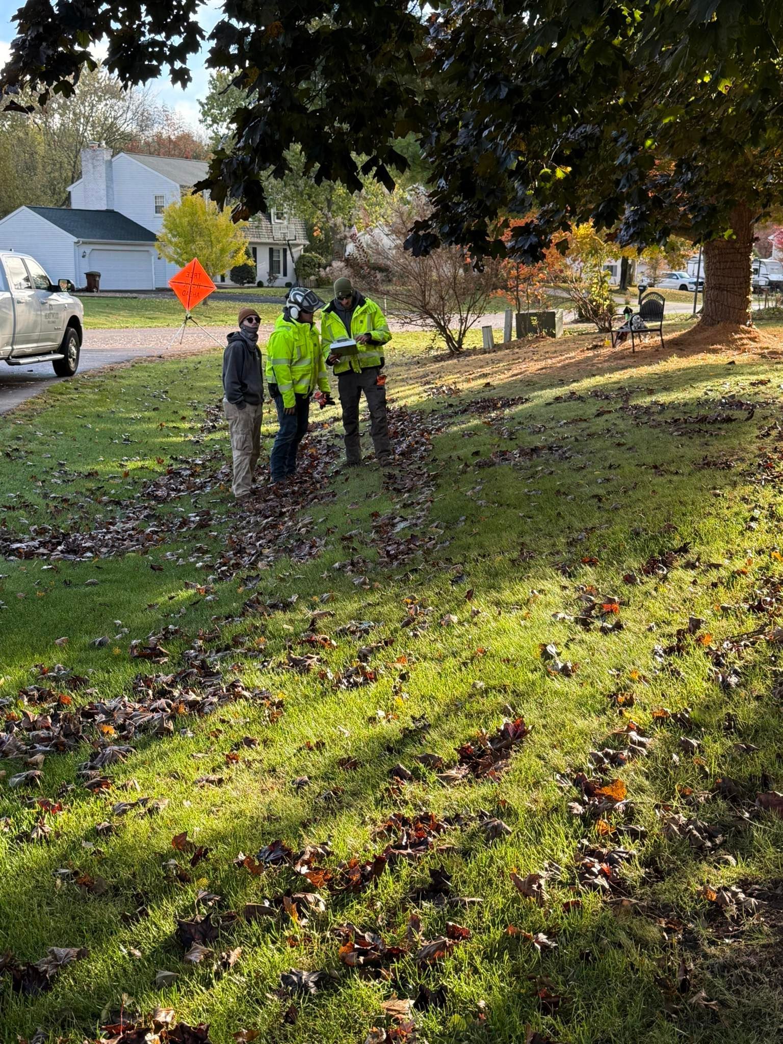 Three people in bright vests examine a grassy area with fallen leaves.