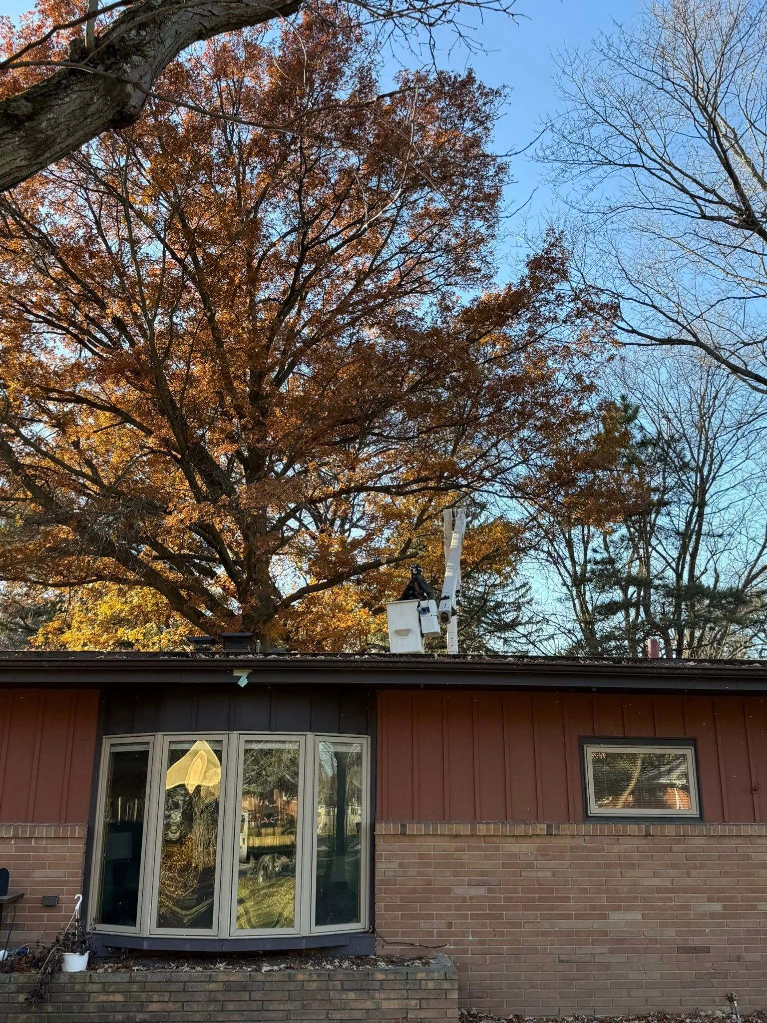 Red brick house with a bay window and antenna, fall foliage, and a blue sky.