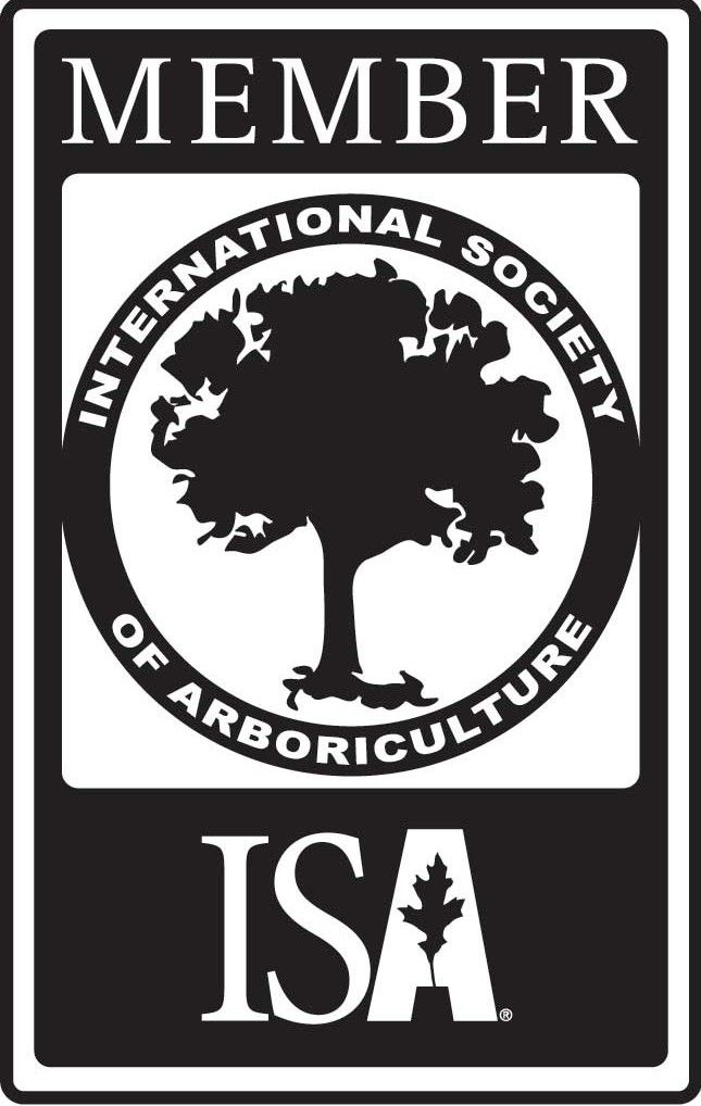 ISA Member logo: black and white emblem with a tree silhouette, the text 