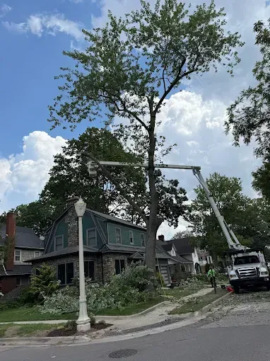 Tree trimming in progress with truck, lift arms, and a house. Blue sky with clouds.
