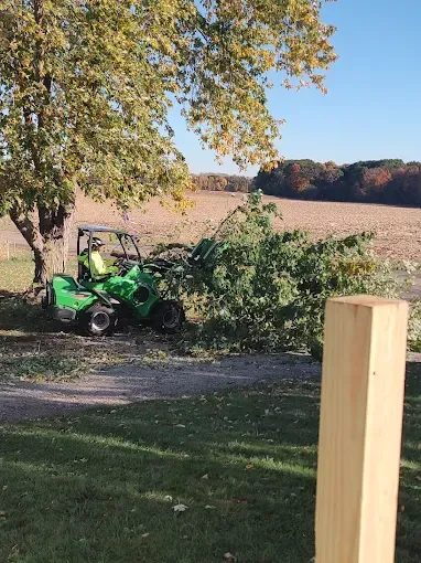 Green utility vehicle trimming a tree on a sunny day. Field and woods in the background.