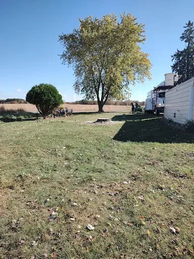 Grassy yard with trees, field in the background, clear blue sky. A few people and vehicles are near white buildings.
