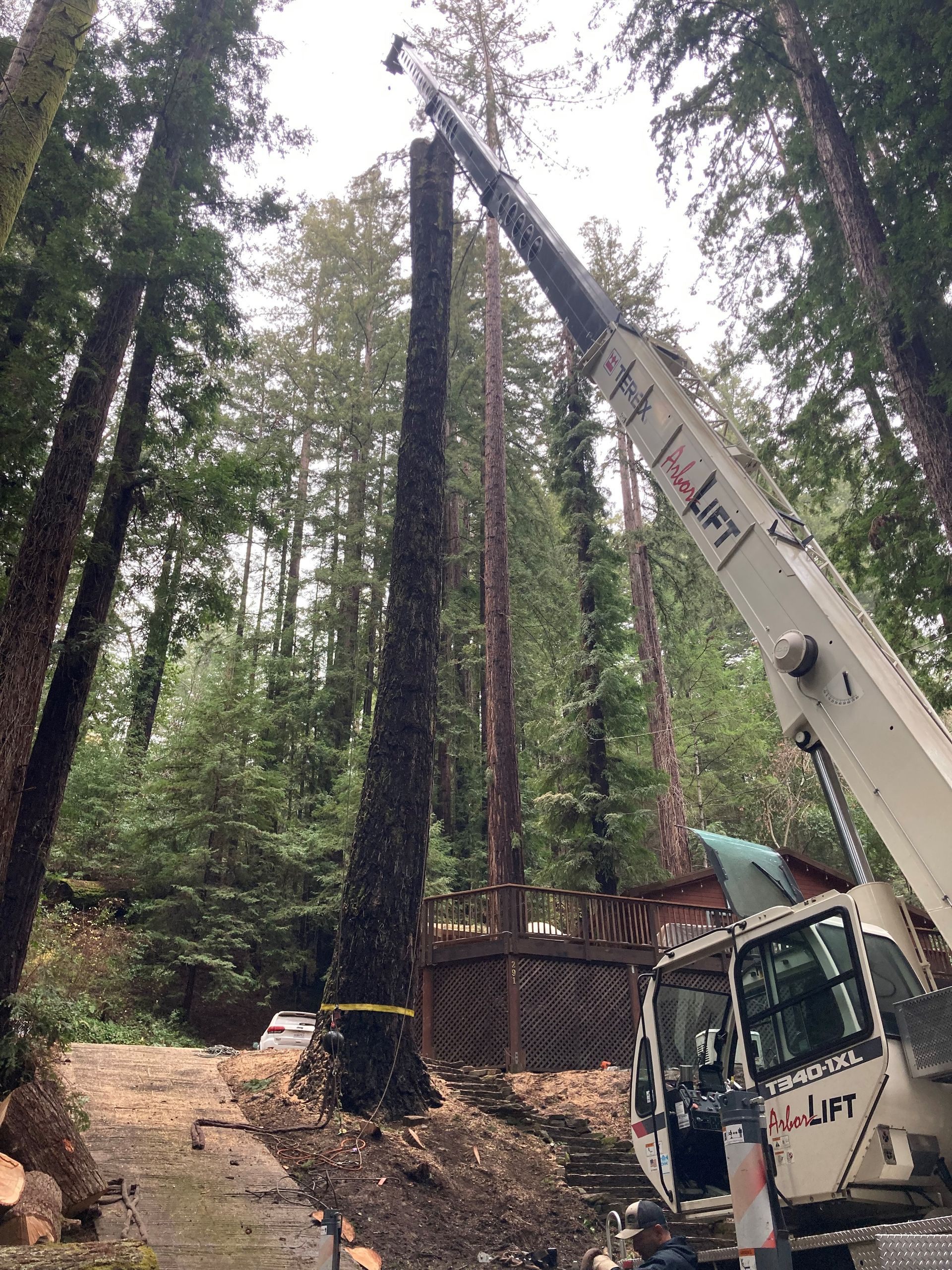 A White Truck And Tree — Soquel, CA — JD Tree