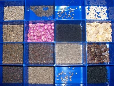 Diverse kruiden en zaden in blauwe schalen, met granen, bonen en gedroogde plakjes in een marktpresentatie.