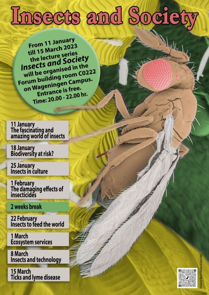 Flyer met de titel 